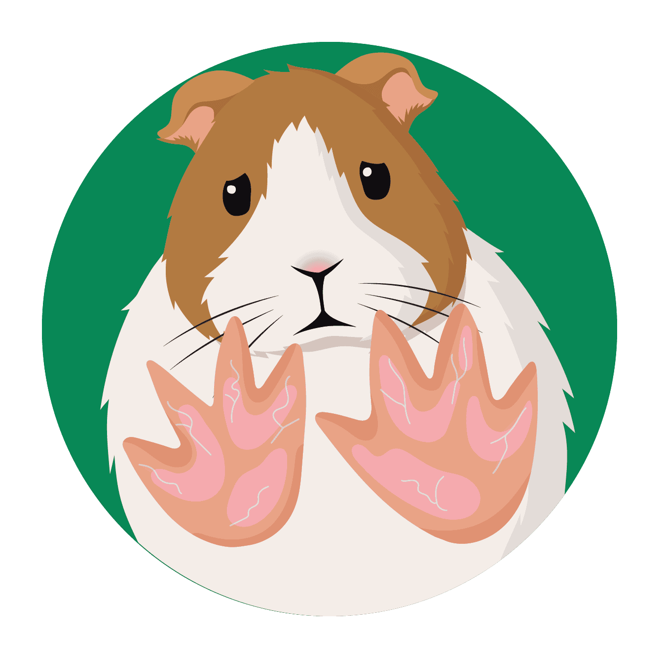 Pododermatitis