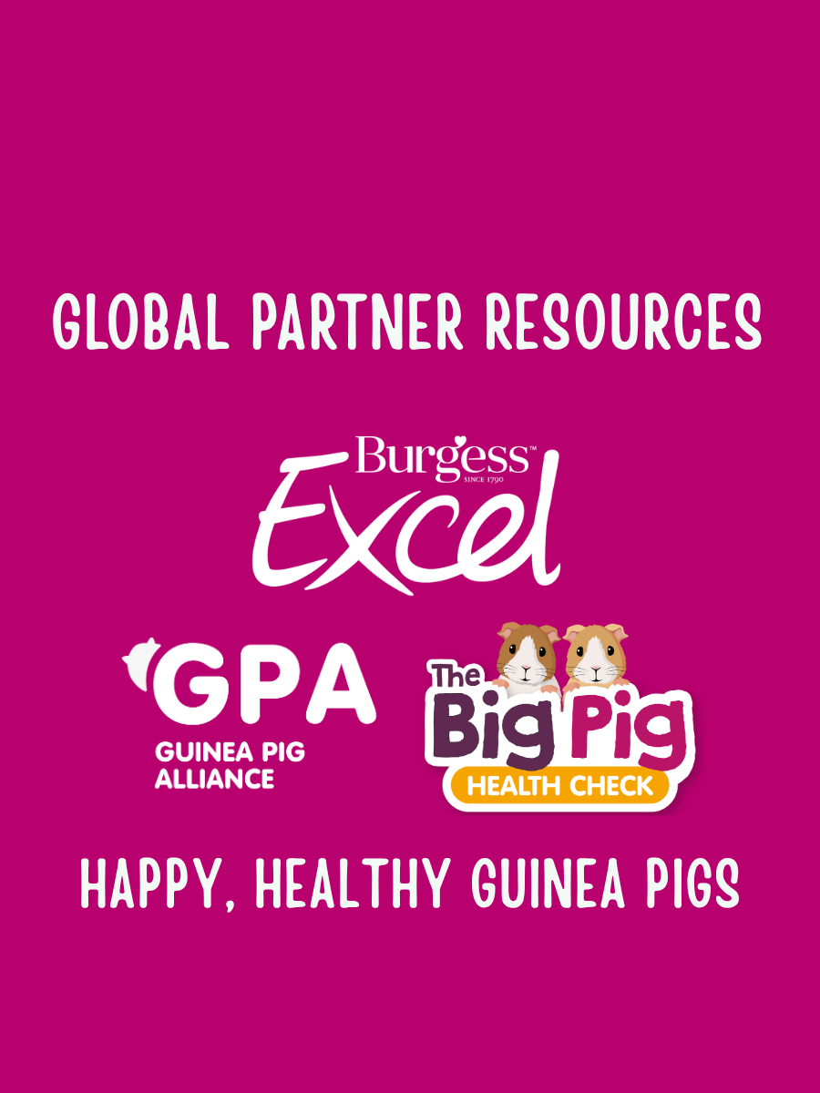 Global partner resources