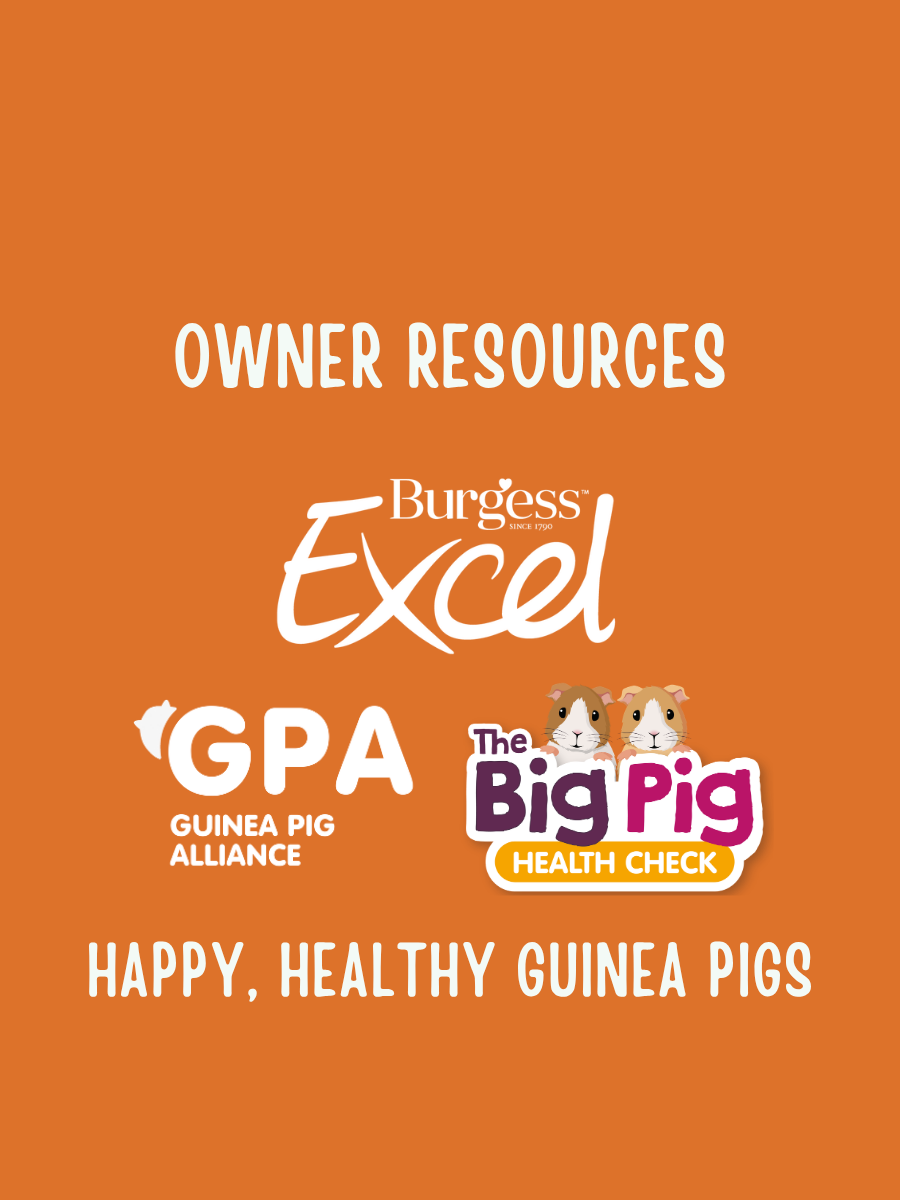 Owner resources