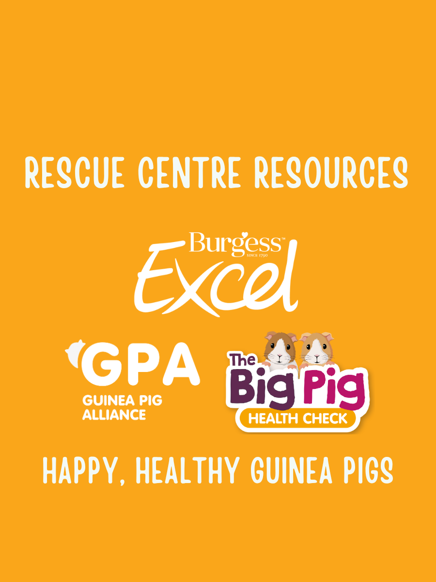 Rescue centre resources