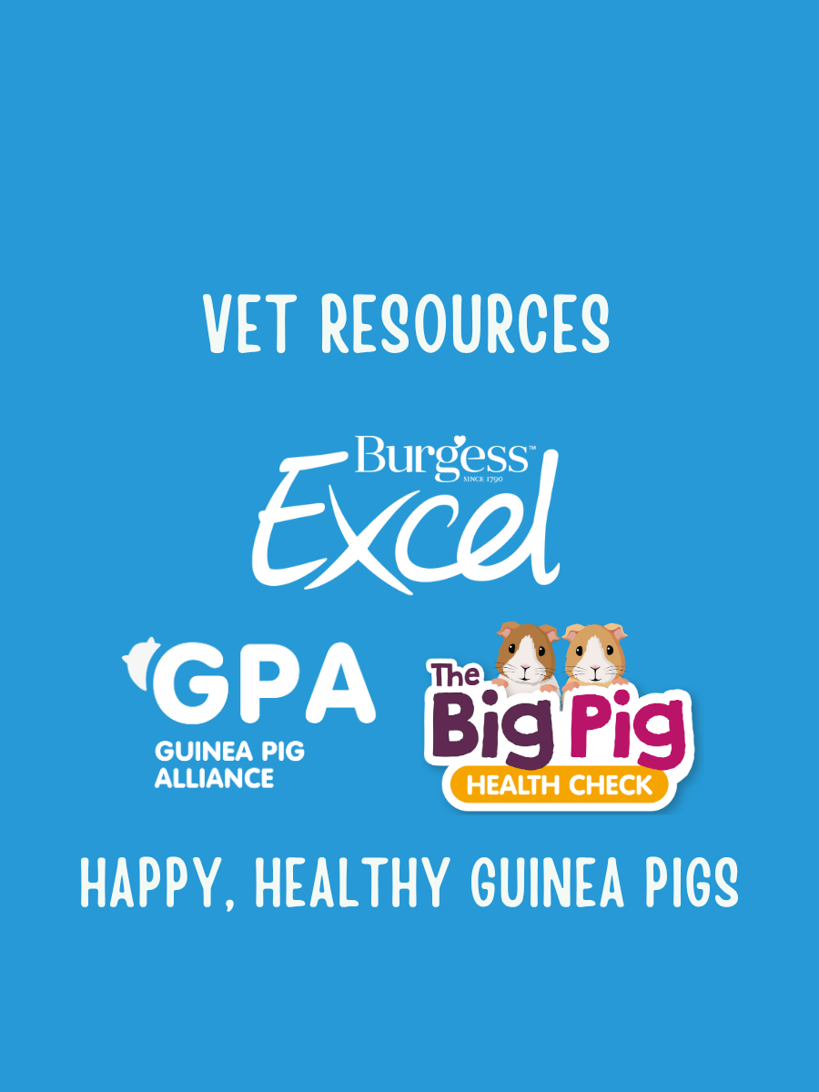 Vet resources