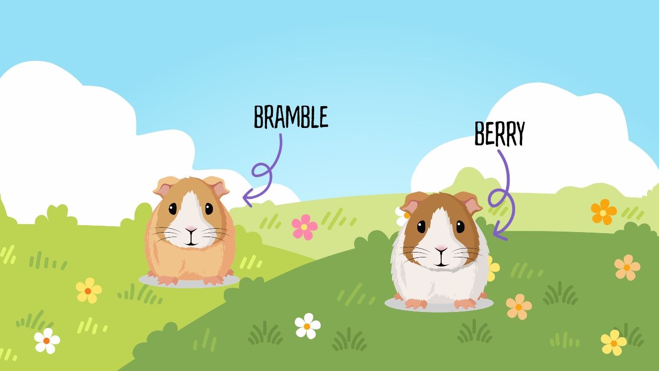 Berry & Bramble